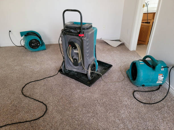 Best 24-hour water damage restoration  in Biscoe, NC