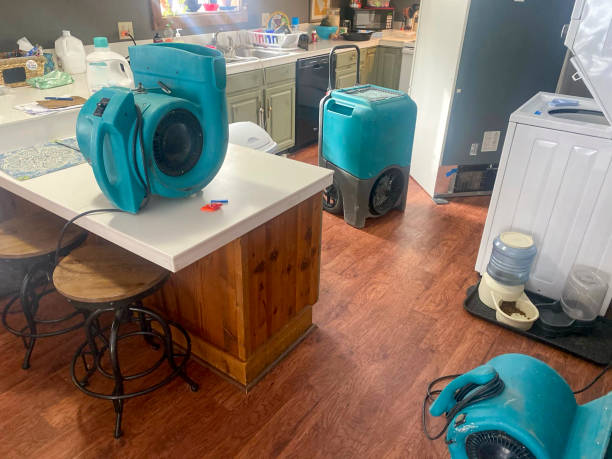 Best Water damage cleanup near me  in Biscoe, NC