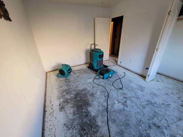 Best 24-hour water damage restoration  in Biscoe, NC