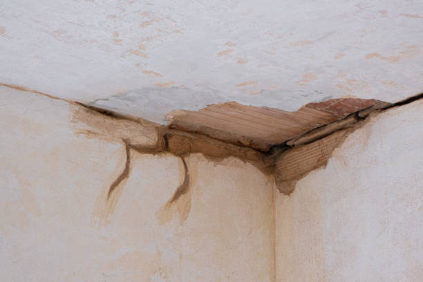 Best Commercial water damage restoration  in Biscoe, NC