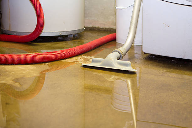 Best Water damage restoration near me  in Biscoe, NC
