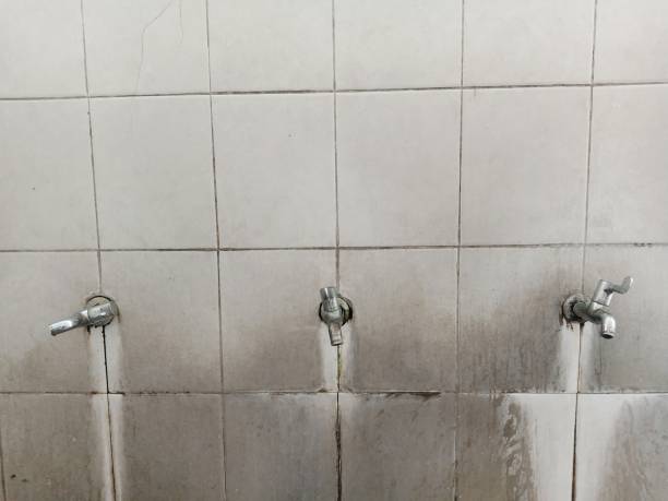 Best Water damage contractors near me  in Biscoe, NC