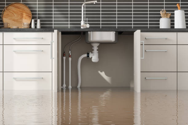 Best Carpet water damage restoration  in Biscoe, NC
