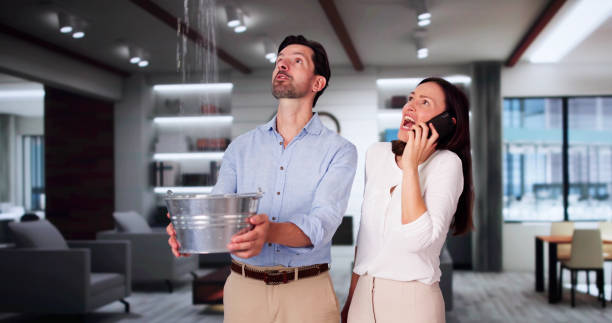 Best Flooded house restoration  in Biscoe, NC
